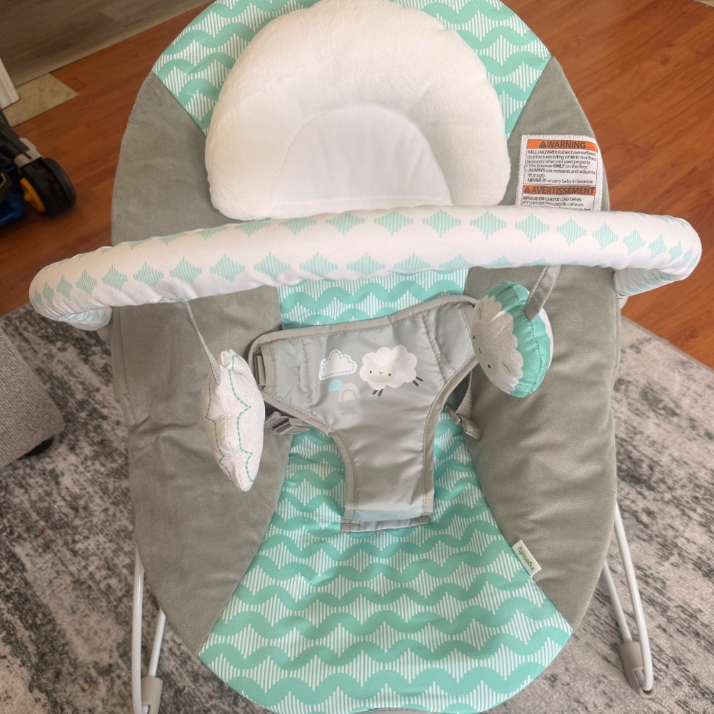 Ingenuity Baby Bouncer Vibrating Chair